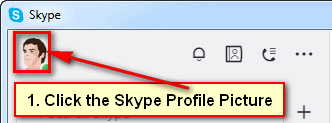 Skype Username Search